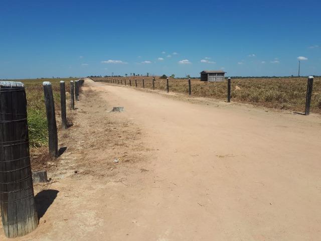 Fazenda de 220 alqueire em Novo Mundo -MT - Foto 6