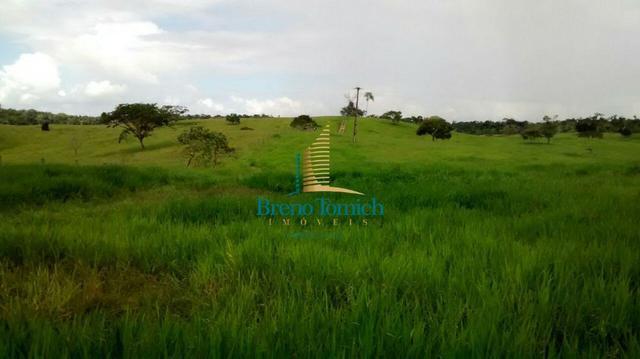 Fazenda em Santa Maria Eterna - Foto 8