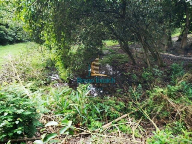Fazenda á 3Km de Eunápolis - Foto 9