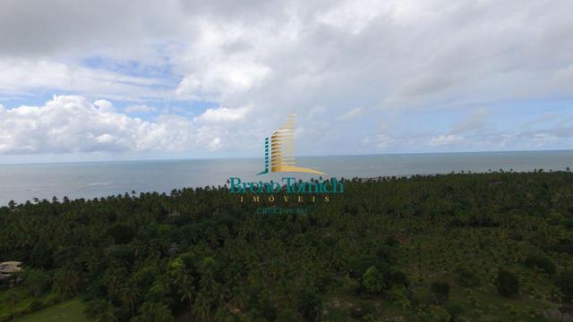 Terreno Residencial em Guaiu - Foto 2