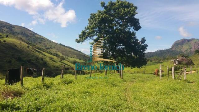 Fazenda á 62KM de Eunápolis - Foto 3
