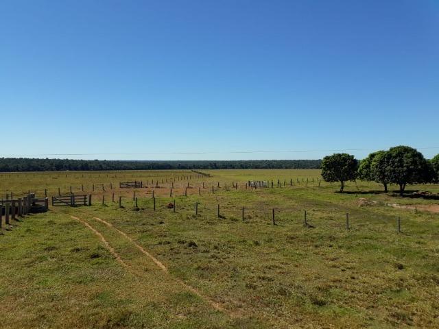 Fazenda no município de Itaúba -MT 1.457 hectares com 457 aberto