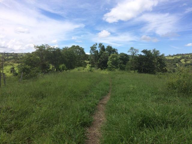 Fazenda 70 alqueires em Anicuns muito boa!!! - Foto 9