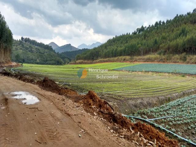 Fazenda produtiva, 116 ha, vale alpino, teresópolis, rj