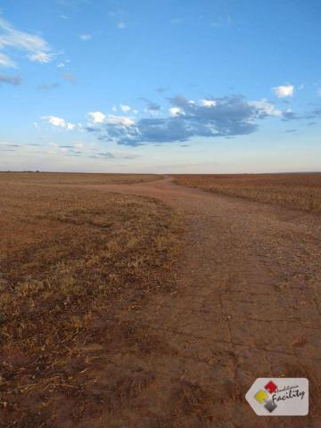 Fazenda de grãos em pontes e lacerda - mato grosso - Foto 12