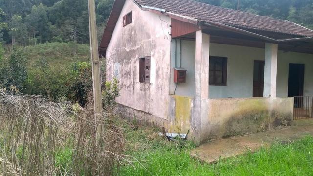 Sítio em Nova Petrópolis com 20,5 hectares - Foto 2