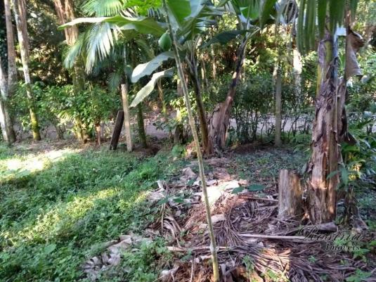 Chácara à venda, 1180 m² por r$ 120.000 - américa de cima - morretes/pr - Foto 11