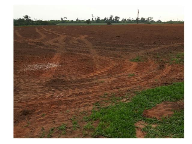 645 Hectares,40% argila,pecuária, Excelente para soja Próximo MT-220