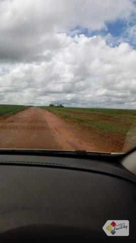 Fazenda de grãos em pontes e lacerda - mato grosso - Foto 20