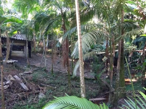 Chácara à venda, 1180 m² por r$ 120.000 - américa de cima - morretes/pr - Foto 7