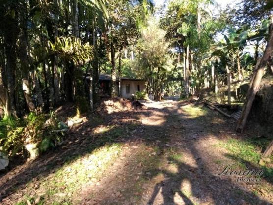 Chácara à venda, 1180 m² por r$ 120.000 - américa de cima - morretes/pr - Foto 8
