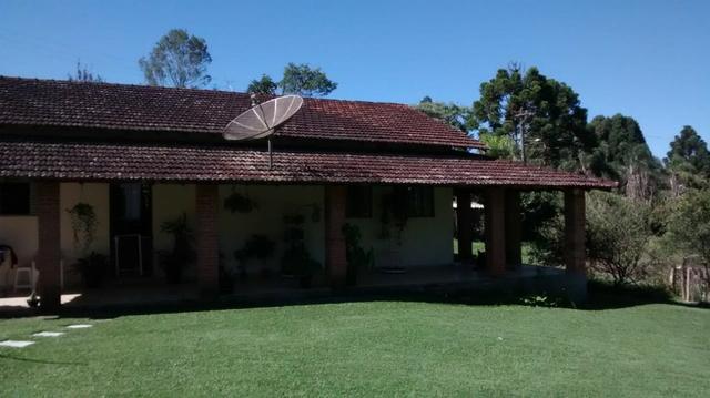 Chacara 11500m² Campininha São Roque