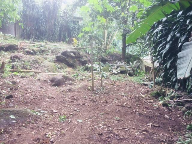 Casa de 4 quartos por 60 mil (URGENTE) - Foto 8