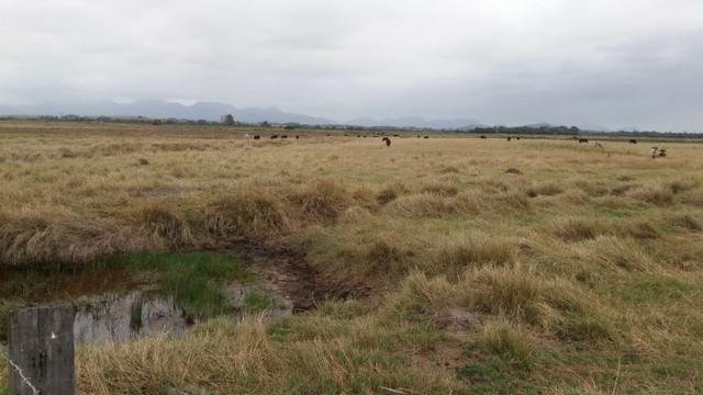 Venda-se está fazenda de 88 Alqueires no Estado do Rio de janeiro/ RJ - Foto 11