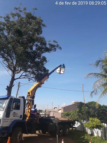 Corte e podas de árvores limpeza terrenos - Foto 2