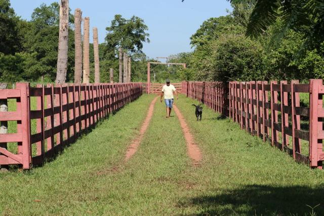 Chácara na região de Santo Antônio de Cuiabá com 32 HA Uma propriedade dos sonhos a 25 - Foto 18