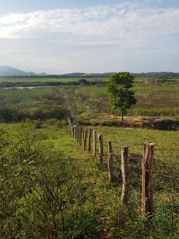 Vendo fazenda em Nova Almeida - Foto 11