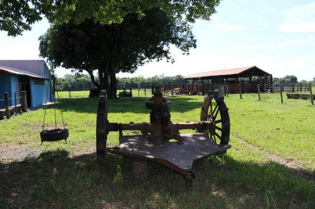 Chácara na região de Santo Antônio de Cuiabá com 32 HA Uma propriedade dos sonhos a 25 - Foto 10
