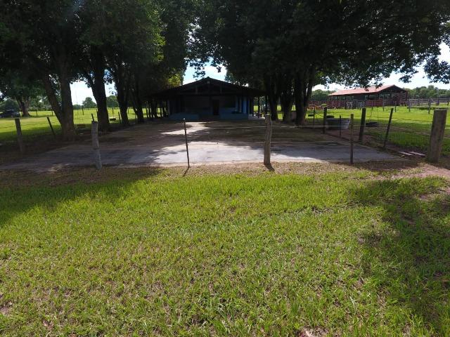 Chácara na região de Santo Antônio de Cuiabá com 32 HA Uma propriedade dos sonhos a 25 - Foto 15