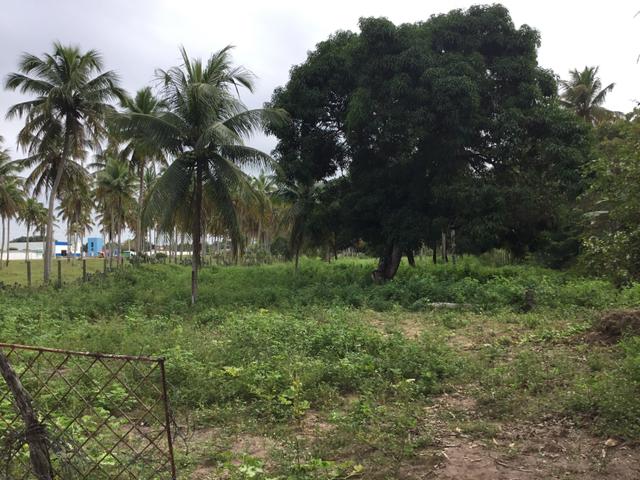 Sol 22 - Excelente Granja sendo 6385m² no Centro - São José de Mipibu - RN - Foto 6