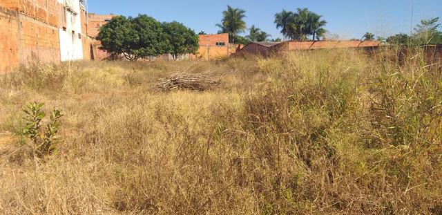 Oportunidade em planaltina DF vendo excelente lote de 1.150 metros no araponga - Foto 5