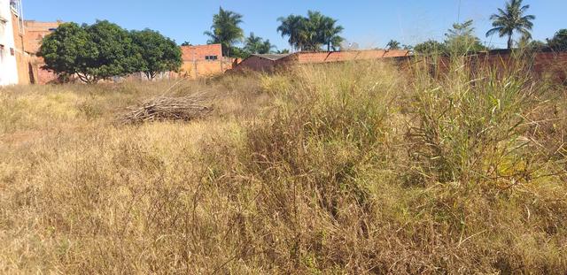 Oportunidade em planaltina DF vendo excelente lote de 1.150 metros no araponga - Foto 3