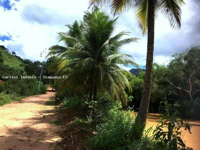 Fazenda para Venda, Itaguaçu / ES, bairro Distrito de Itaçu - Foto 12
