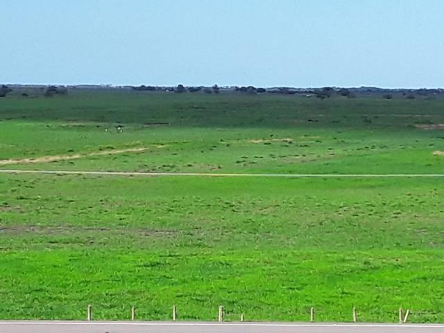 Fazenda 180 alqueires Linhares - Foto 6