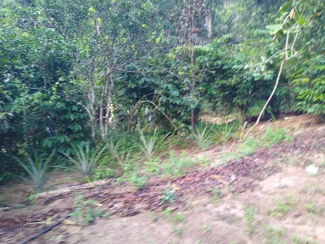Chácaras Viana 5000 mil metros quadrados - Foto 18