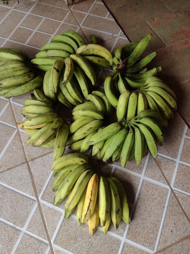 Bananas prata original 