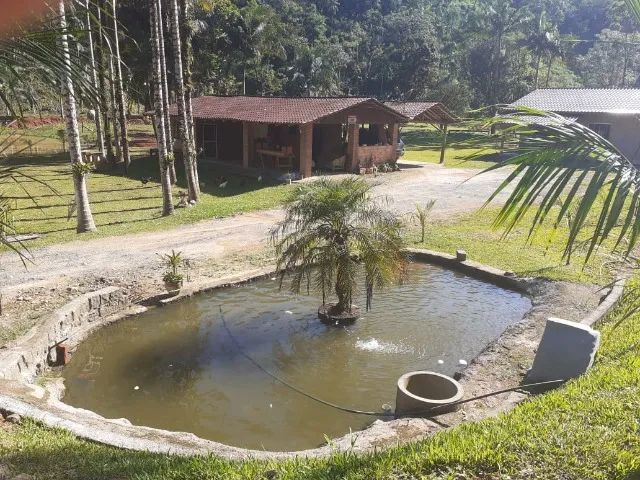 Sítio / Chácara para Venda - Schroeder / SC no bairro Centro Leste