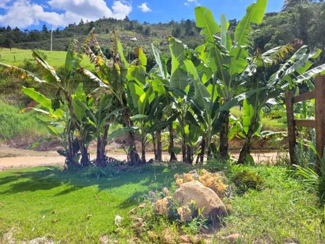 Área nobre (46.000m2) com casa de apoio em Pedra Azul! - Foto 12