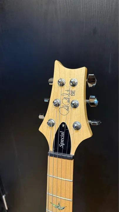 Guitarra PRS swamp ash Special sa22 - Foto 2