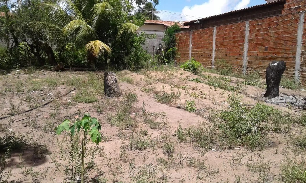 foto - São Gonçalo do Amarante - 