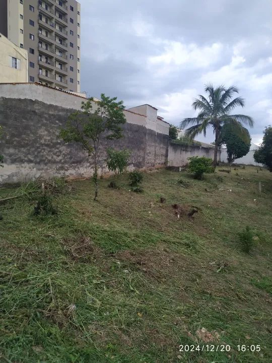 Roçagem limpeza de terrenos  - Foto 5