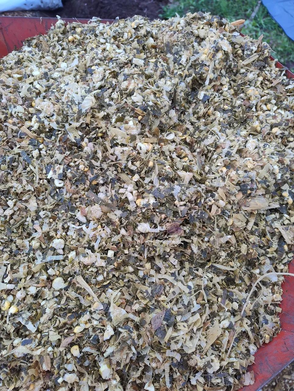 Silagem de Milho ensacada,faça seu pedido q entregamos em Barbacena e região  - Foto 2