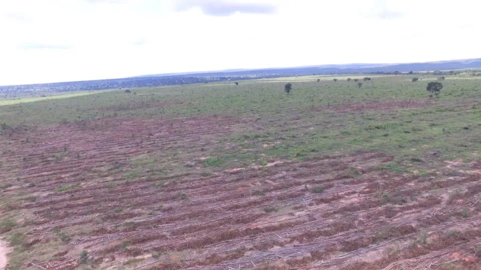 Fazenda em Paracatu  - Foto 3
