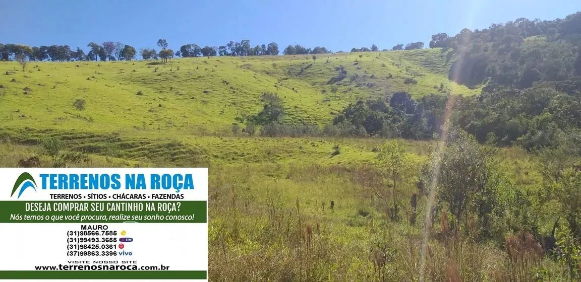 Terreno em Crucilândia / MG, 97 mil metros com mina e nascente todo formado