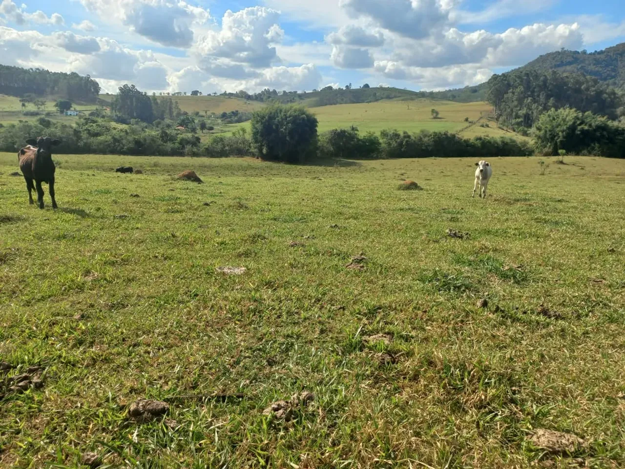 lindo sitio em Caconde sp