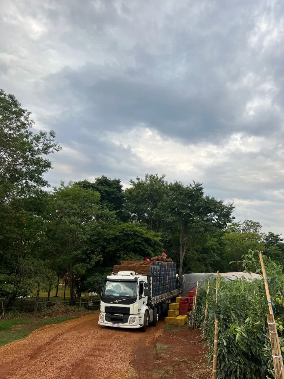 Volvo vm 330 - Foto 8