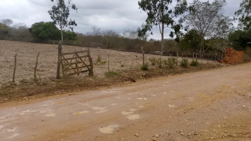 VENDO SITIO DE 5,45 HECTARE DE TERRA - Foto 5
