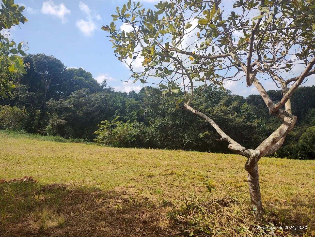 Área excelente em aldeia, nascente e de esquina. - Foto 2