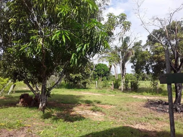 Vendo terreno com casa 