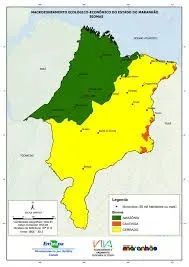 CERRADO MARANHÃO: Fazenda à venda de 52.000ha ideal para garantia bancária. - Foto 2