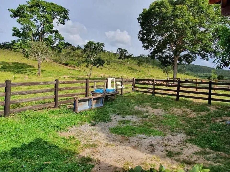 Fazenda Escriturada em Cocalzinho/GO 54 Alqueires - Foto 3