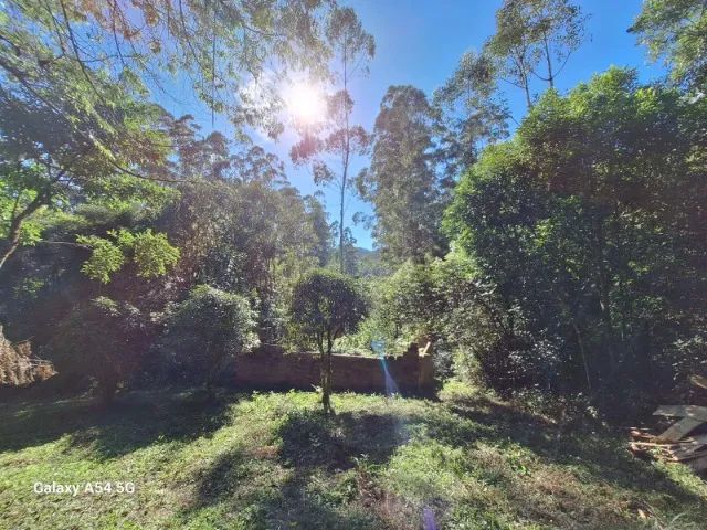 ? OPORTUNIDADE ÚNICA! CHÁCARA À VENDA EM TAIO, SC ? - Foto 4