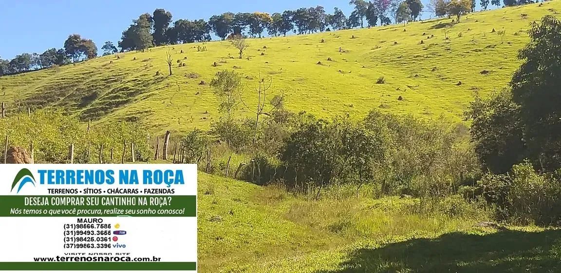 Terreno em Crucilândia / MG, 97 mil metros com mina e nascente todo formado - Foto 3