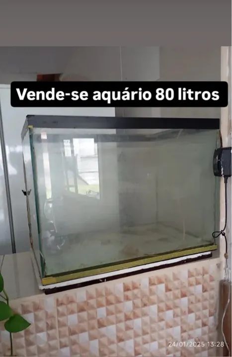 Aquário 80 Litros