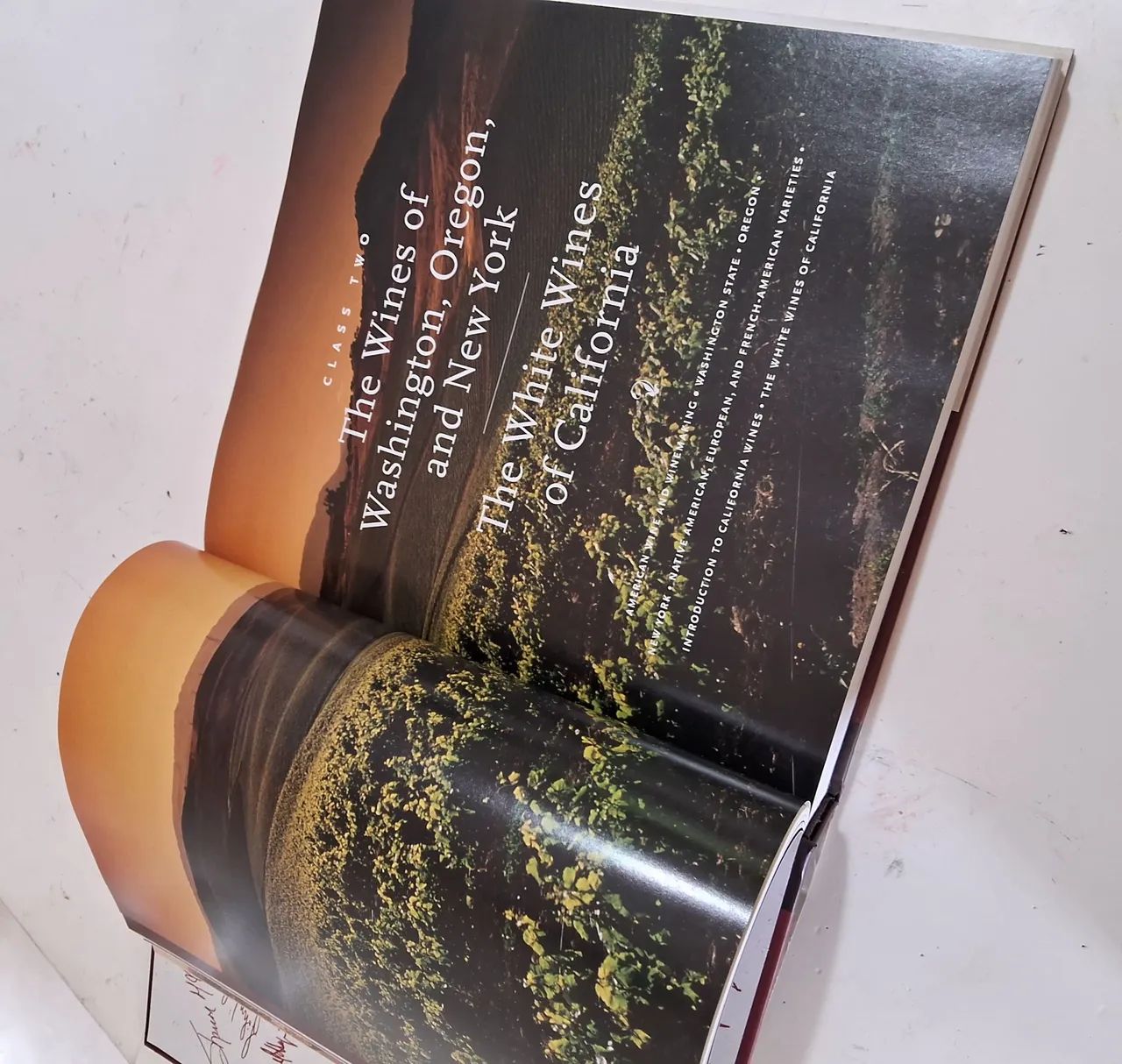 Livro curso completo de vinho Kevin Zraly's - Foto 2