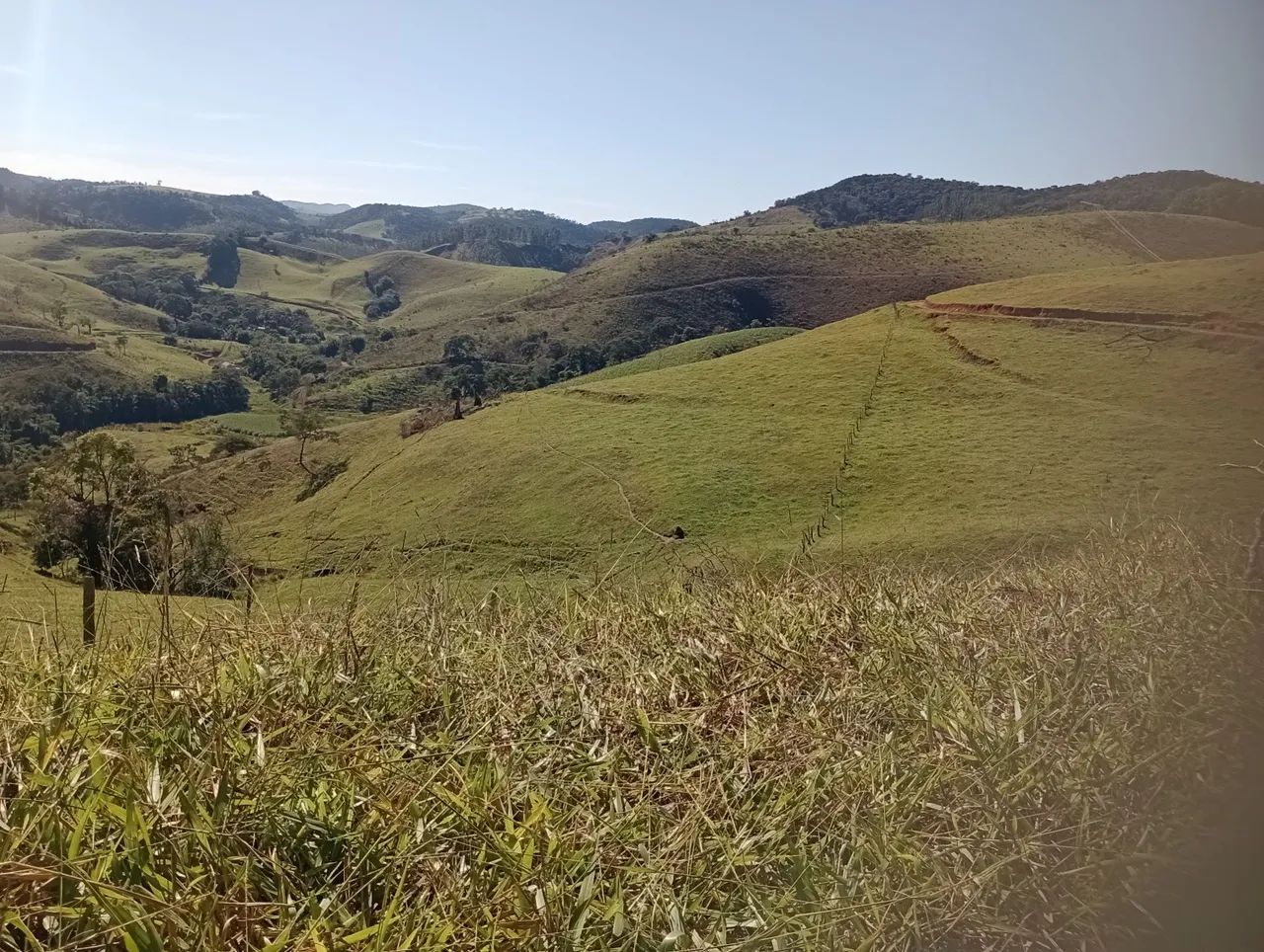 Fazenda disponível com 800 hectares.